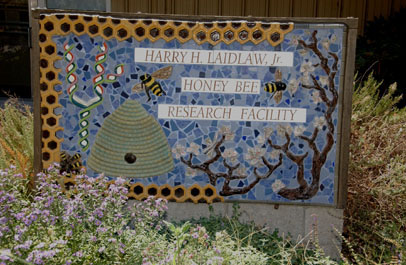 Photo: Harry H. Laidlaw Jr. Honey Bee Research Facility
